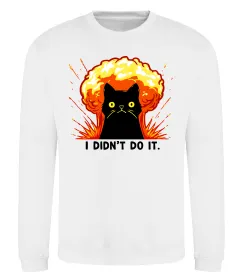 Світшот Світшот