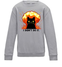 Детский Свитшот Кіт Це не я Детский Свитшот Кіт Це не я