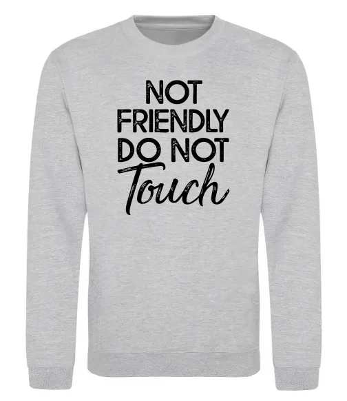 Свитшот Do not touch Серый меланж фото