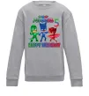 Детский Свитшот PJ Masks happy birthday 5 Серый меланж фото