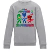 Детский Свитшот PJ Masks Birthday 3 Серый меланж фото