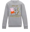 Дитячий світшот Peppa Pig My 4 Birthday Сірий меланж фото