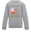 Детский Свитшот Свинка Пеппа Мій 3 День народження Серый меланж фото