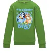 Детский Свитшот 5 Birthday Bluey Лаймовый фото