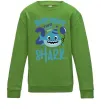 Детский Свитшот Birthday Shark two two two Лаймовый фото