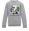 Детский Свитшот 7 років Майнкрафт Серый меланж фото