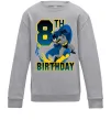 Детский Свитшот Batman birthday 8 Серый меланж фото