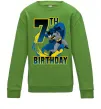 Детский Свитшот Batman Birthday 7 Лаймовый фото