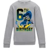 Детский Свитшот Batman birthday 6 Серый меланж фото
