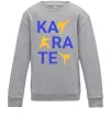 Детский Свитшот Ка-ра-те Серый меланж фото