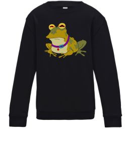 Детский Свитшот Гіпно жаба