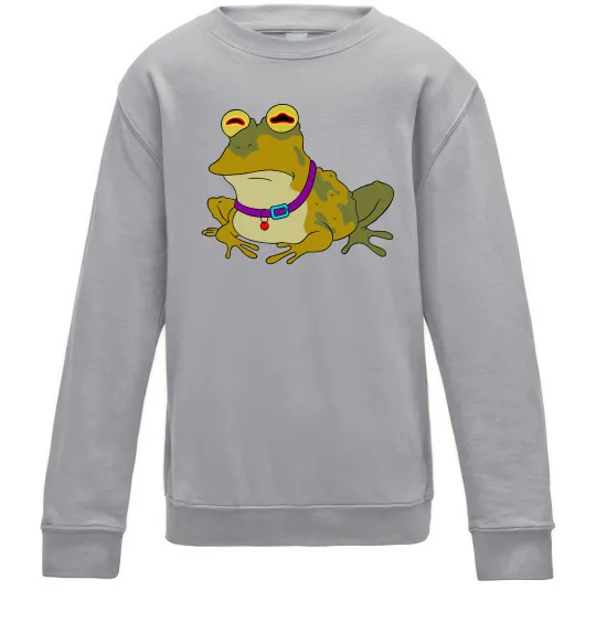 Детский Свитшот Гіпно жаба Серый меланж фото