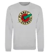 Свитшот Planet Express logo Серый меланж фото