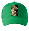 Кепка Коти з тату Зелений фото