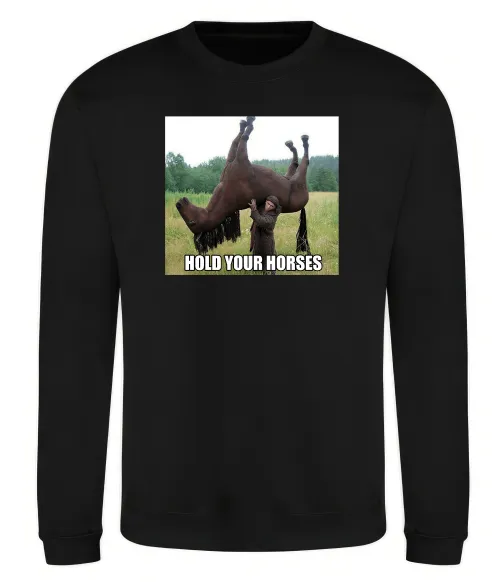 Свитшот Притримай коней Черный фото