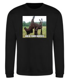 Свитшот Притримай коней