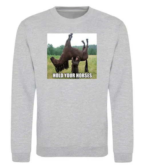 Свитшот Притримай коней Серый меланж фото