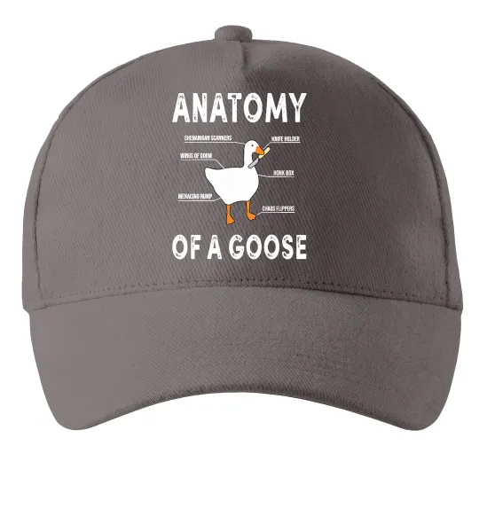 Кепка Anatomy of goose Сірий фото