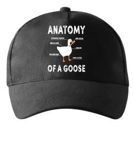 Кепка Anatomy of goose