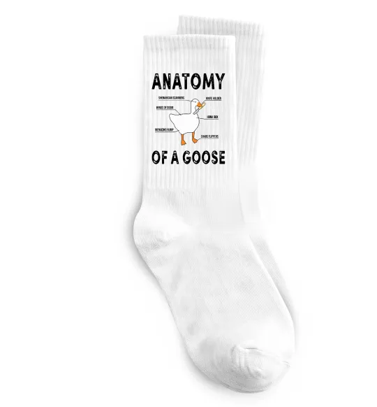 Носки Anatomy of goose Белый фото