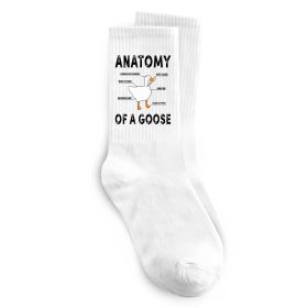 Носки Anatomy of goose