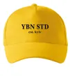 Кепка YBN STD Солнечно желтый фото