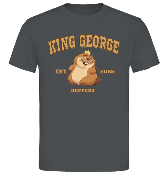 Мужская футболка King George Графит фото