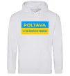 Мужская толстовка (худи) Poltava center of freedom Серый меланж фото