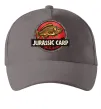 Кепка Jurassic carp Сірий фото