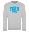 Свитшот Boy team Серый меланж Свитшот Boy team Серый меланж фото