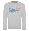 Свитшот Boy or girl loading Серый меланж Свитшот Boy or girl loading Серый меланж фото