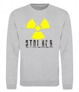 Свитшот STALKER Explosion Серый меланж фото