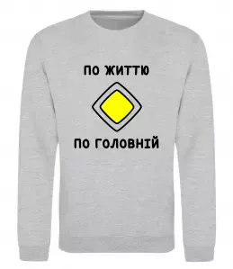 Свитшот По життю - по головній Серый меланж фото