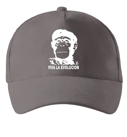 Кепка VIVA LA EVOLUCION Серый фото