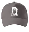 Кепка VIVA LA EVOLUCION Серый фото