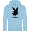 Мужская толстовка (худи) PIGBOY Голубой фото