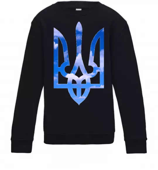 Дитячий світшот Герб - небо Чорний фото