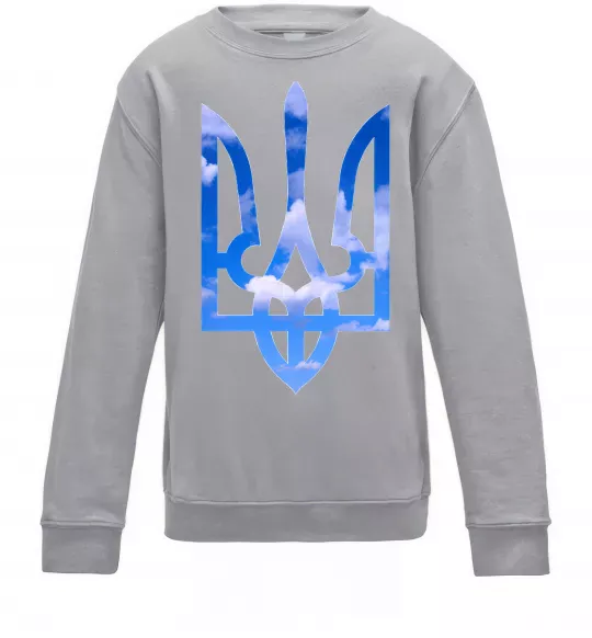 Дитячий світшот Герб - небо Сірий меланж фото