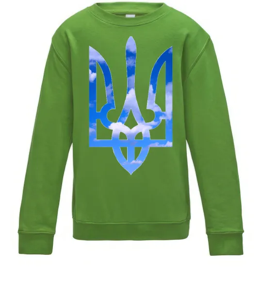 Дитячий світшот Герб - небо Лаймовий фото