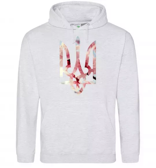 Чоловіча толстовка (худі) Герб - цвіт Сірий меланж фото