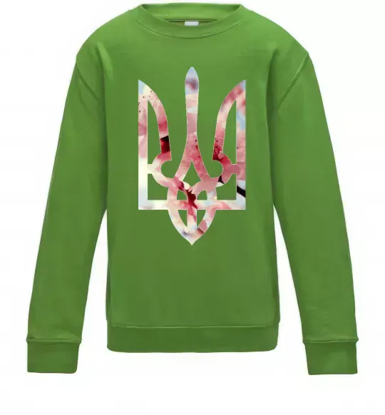 Детский Свитшот Герб - цвіт Лаймовый фото