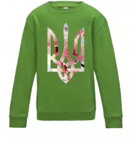 Детский Свитшот Герб - цвіт Лаймовый фото