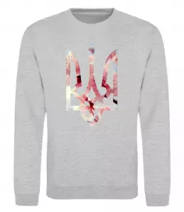 Свитшот Герб - цвіт Серый меланж фото