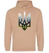 Мужская толстовка (худи) Герб - Карпати Песочный фото