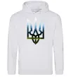 Жіноча толстовка (худі) Герб - Карпати Сірий меланж фото
