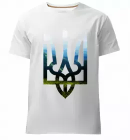 Мужская премиум футболка