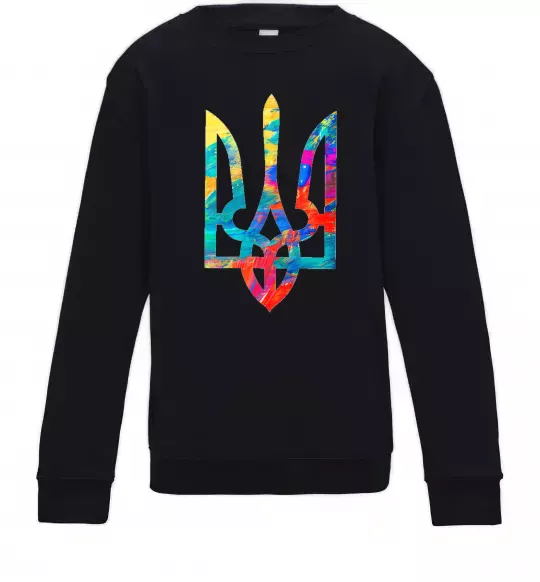 Дитячий світшот Герб - фарби Чорний фото