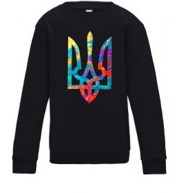 Дитячий світшот Герб - фарби