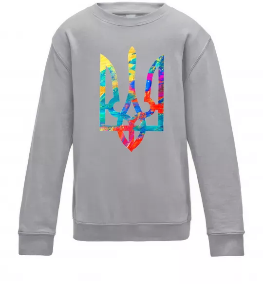 Дитячий світшот Герб - фарби Сірий меланж фото