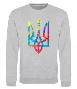 Свитшот Герб - фарби Серый меланж фото